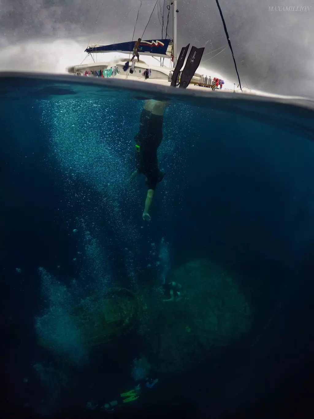 Kayaking & VR Naturalist