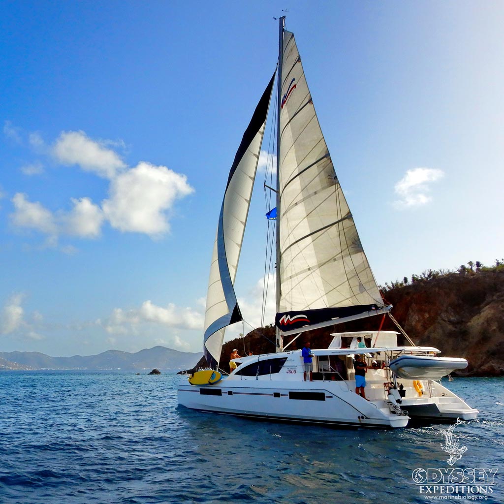 Odyssey Yachts Sailing up Sir Francis Drake Channel